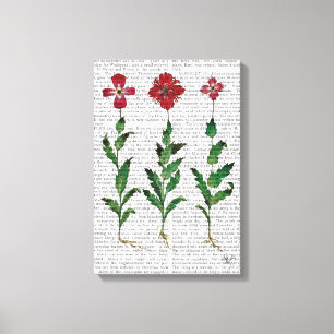 Toile Carnation italienne 1