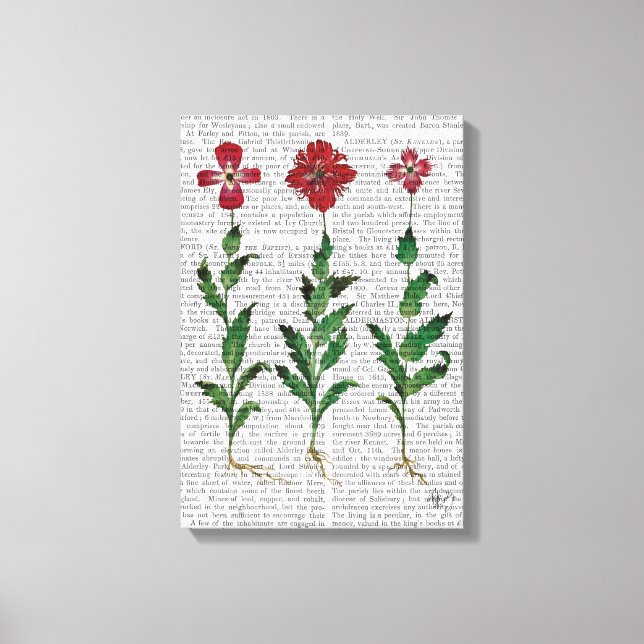 Toile Carnation italienne 1 (Recto)