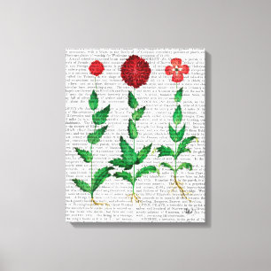Toile Carnation italienne 2