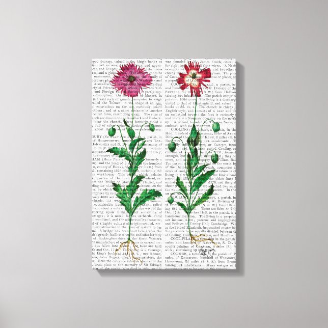 Toile Carnation italienne 3 (Recto)