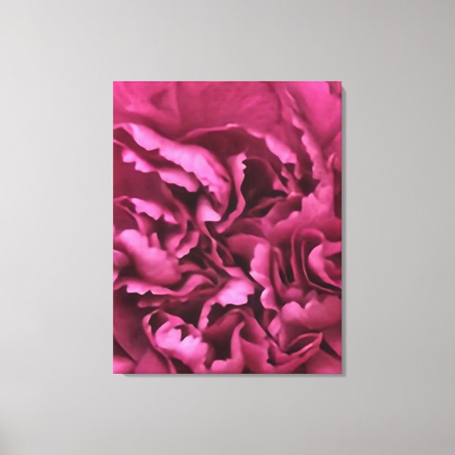 Toile Carnation rose (Recto)