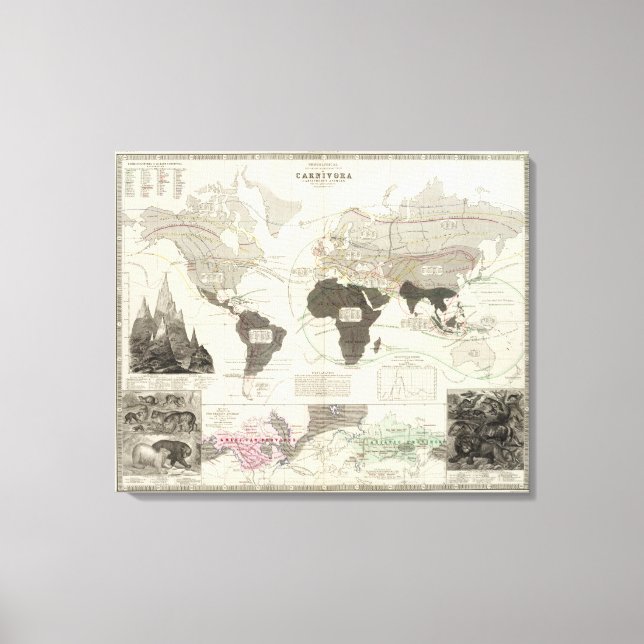 Toile Carnivora (Recto)