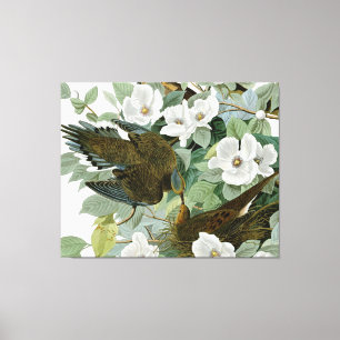 Toile Carolina Pigeon Audubon Morning Dove