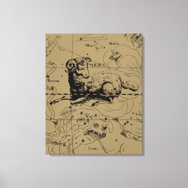 Toile Carte de Constellation Aries Hevelius vers 1690 (Recto)