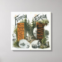 Carte des cantons, Floride