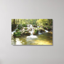 Cascade dans la forêt