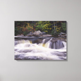 Toile Cascades, Route Kancamagus, Blanc