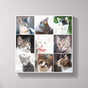 TOILE CATS - MODÈLE