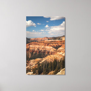 Toile Cedar Breaks National Monument, Utah