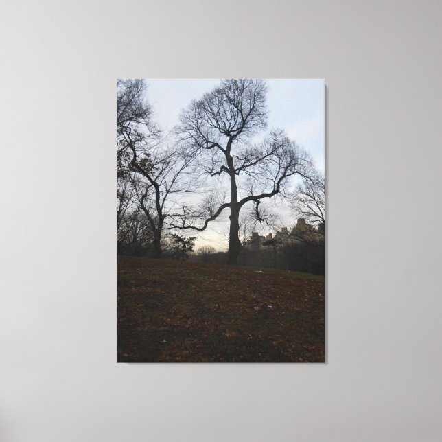 Toile Central Park, New York City, USA (Recto)
