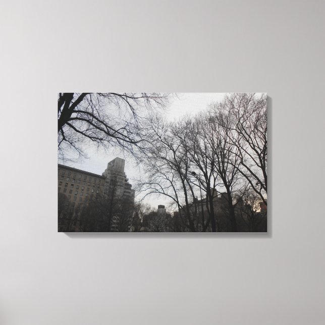 Toile Central Park, New York City, USA (Recto)