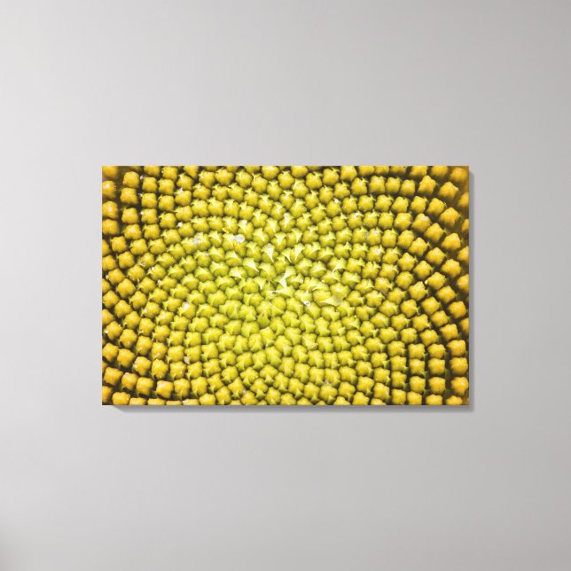Toile Centre du tournesol géant (Helianthus annuus) (Recto)