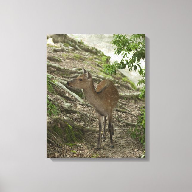 Toile Cerf 2 (Recto)