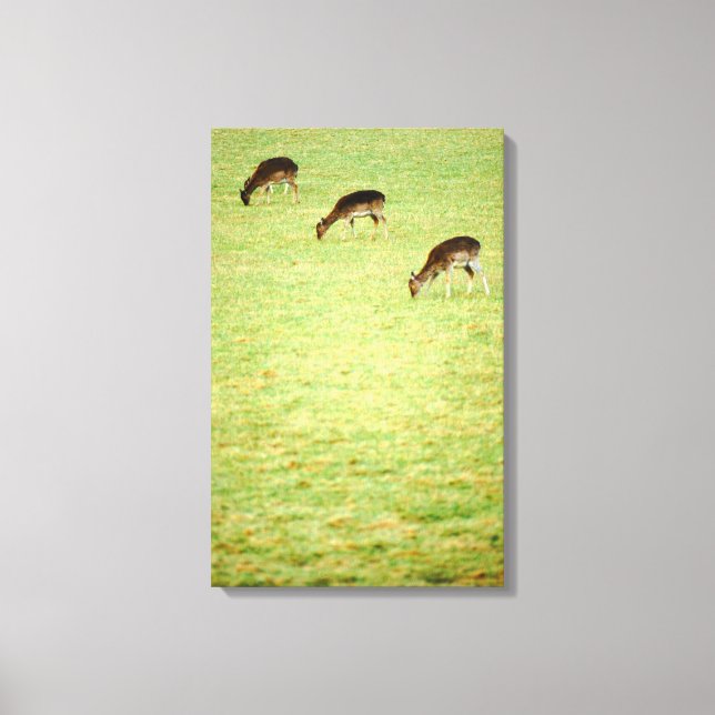 Toile cerf 3 (Recto)