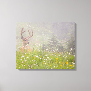 Toile Cerf Buck   Parc national du mont Rainier