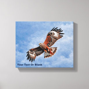 Toile Cerf-volant rouge