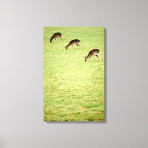 Toile cerfs communs 3