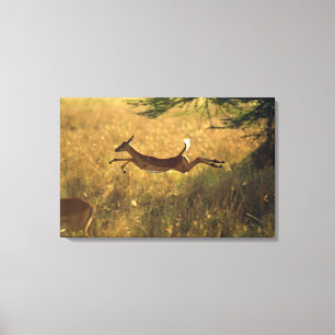 Toile Cerfs communs sautant par le champ
