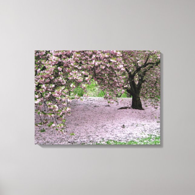Toile cerisier fleur arbre trois panneaux enveloppés toi (Recto)