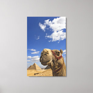 Toile Chameau devant les pyramides de Giza, Egypte,