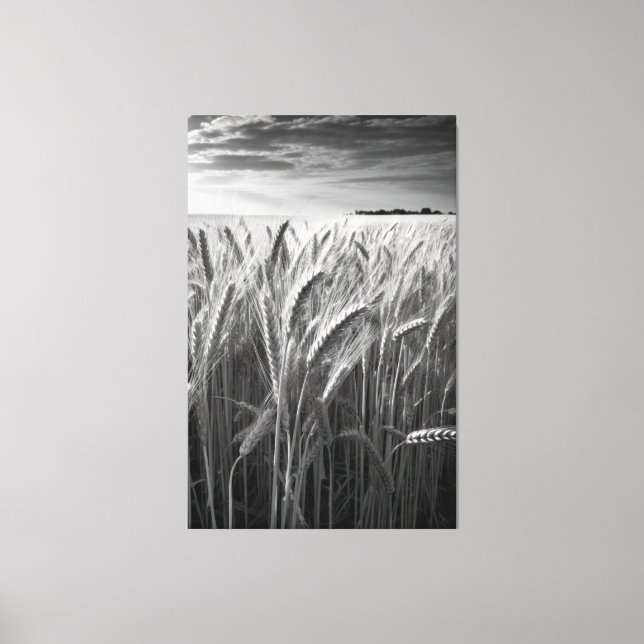 Toile Champ de blé : Charme rural monochrome (Recto)