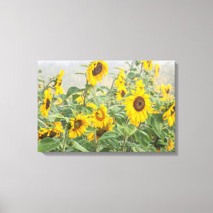 Toile Champ de tournesols géants de couleur jaune vif