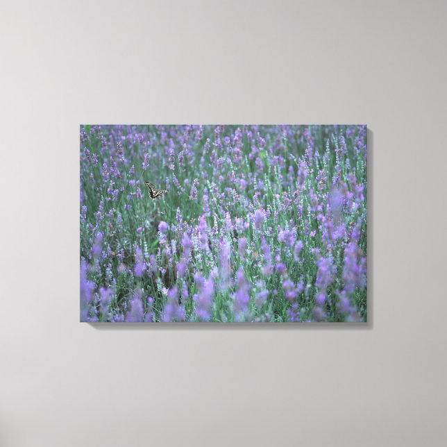 Toile Champ Lavender (Recto)
