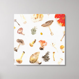 Toile Champignons