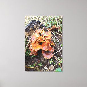 Toile Champignons dans la forêt