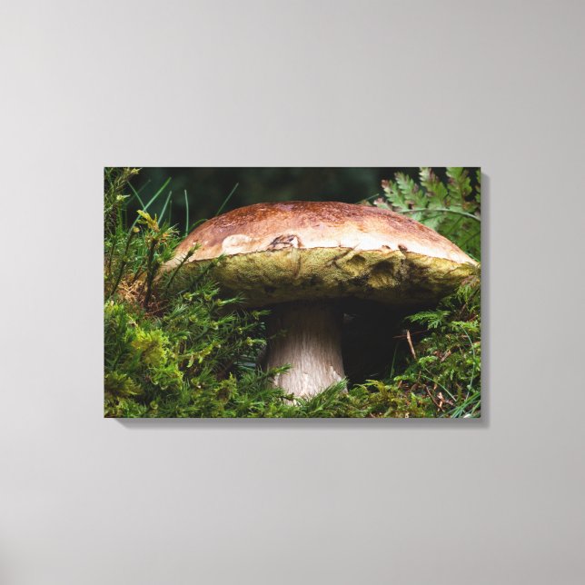 Toile Champignons de Porcino (Recto)