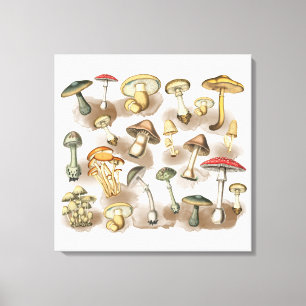 Toile Champignons vintages de Forêt Rustique