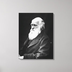 Toile Charles Darwin Portrait