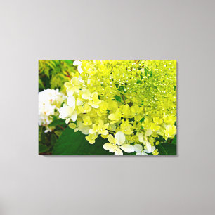 Toile Chartreuse Green, Limelight Hydrangea,