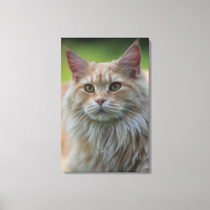 Toile Chat à cocon principal