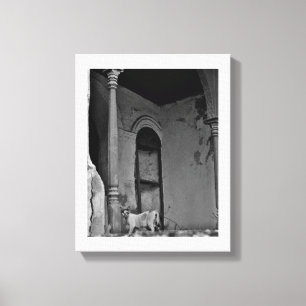 Toile Chat Al Balad