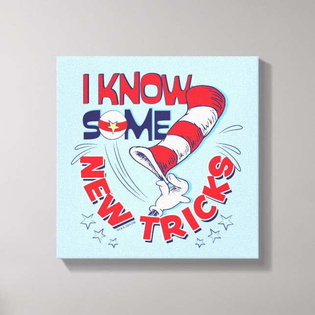 Toile Chat Dans Le Casquette Je Connais Quelques Nouvell (Recto)