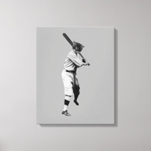 Toile Chat de baseball