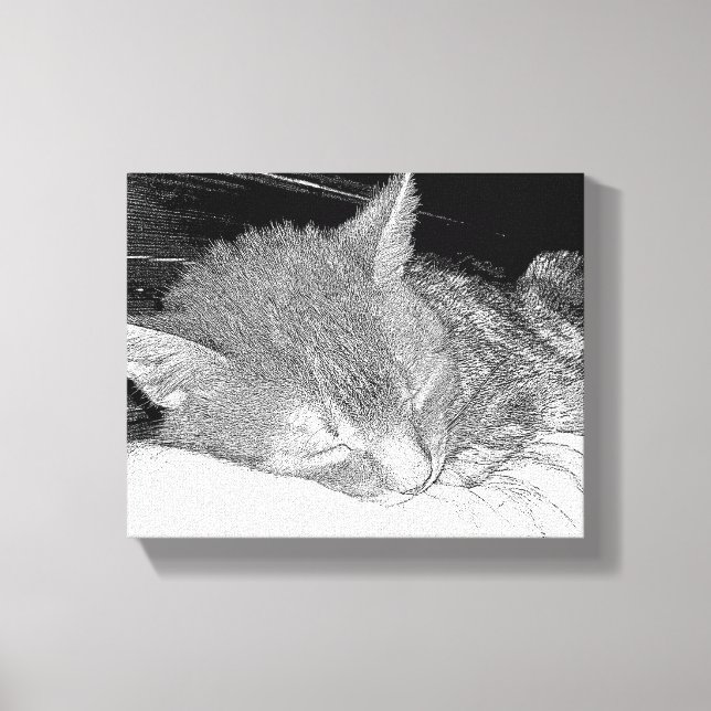 Toile Chat endormi (Recto)