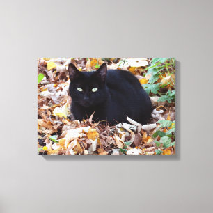 Toile Chat Noir Automne Photo