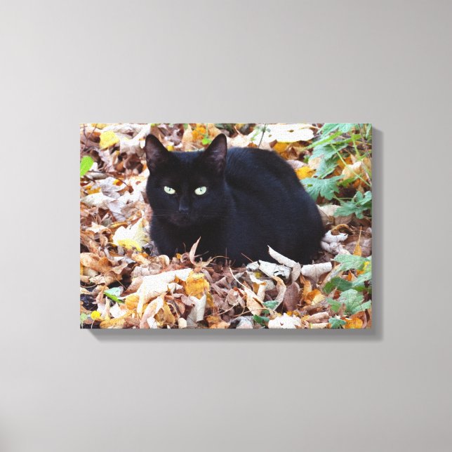 Toile Chat Noir Automne Photo (Recto)