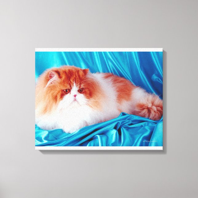 Toile Chat perse (Recto)
