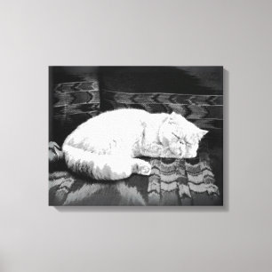 Toile Chat perse blanc couché