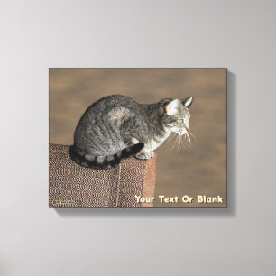 Toile Chat Tabby Gris Fumé