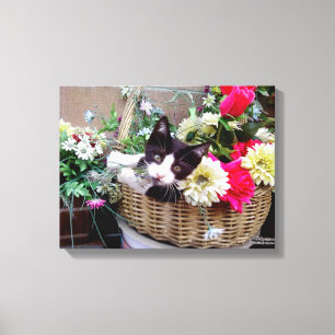 Toile Chaton dans un panier