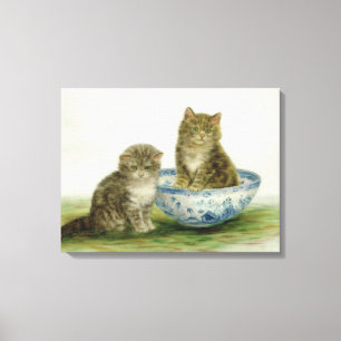 Toile Chaton dans une cuvette bleue de la Chine