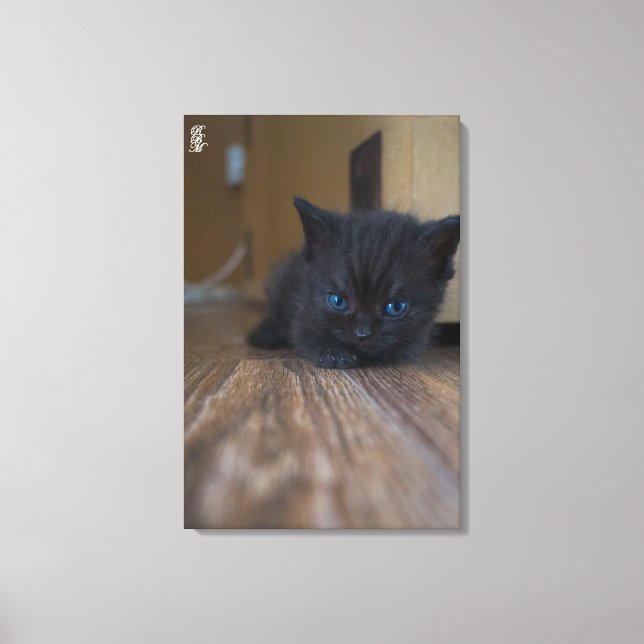 Toile Chaton noir (Recto)