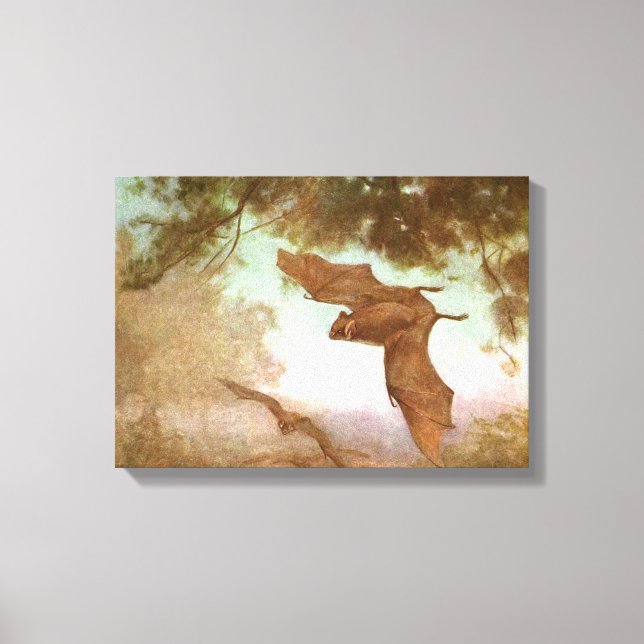Toile Chauves-souris Vampire par CE Swan, Animaux sauvag (Recto)