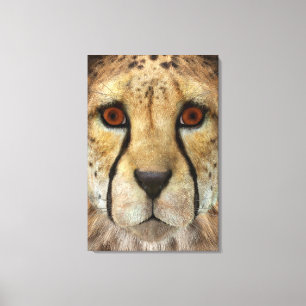 Toile Cheetah