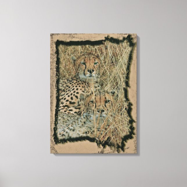 Toile Cheetahs (Recto)
