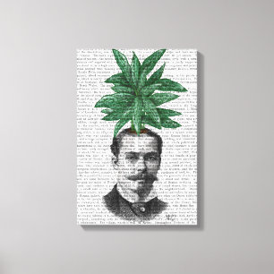 Toile Chef du Plante À feuillage persistant chinois